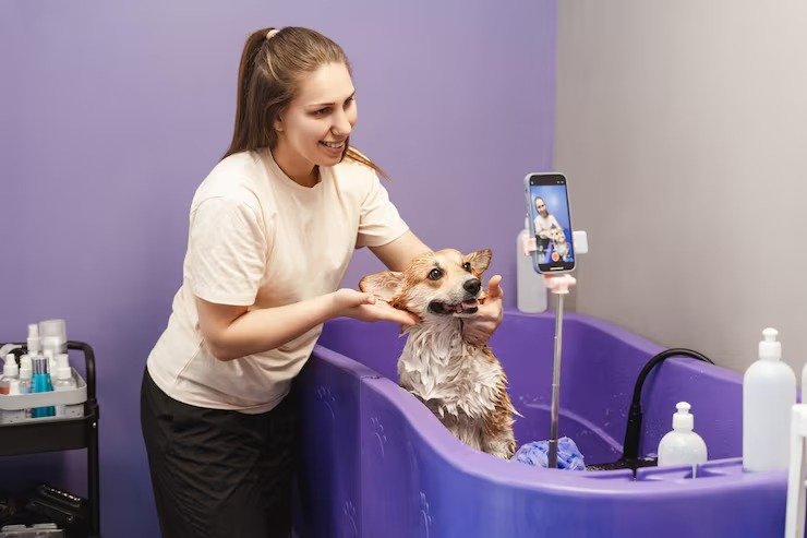 Tosa e Banho em Domicílio