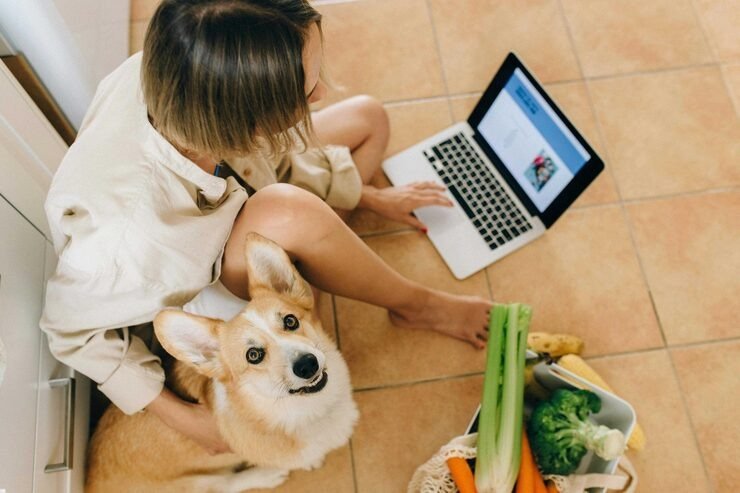 Pet Shop Online com Entrega Rápida